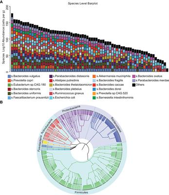 Integration analysis of tumor metagenome and peripheral immunity data of diffuse large-B cell lymphoma